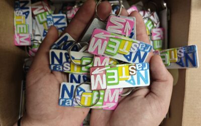 Uvodna konferencija projekta NARASTEM