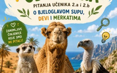 Sat za znanost u našoj školi