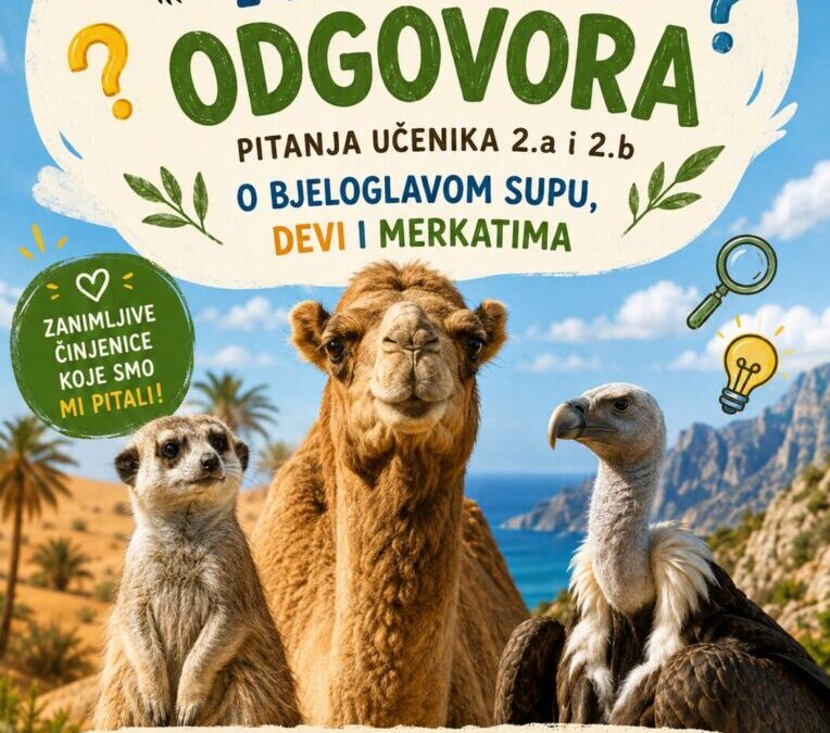 Sat za znanost u našoj školi